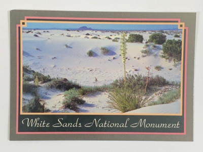 Gypsum Dunes Tularosa White Sands National Monument New Mexico Postcard Unposted