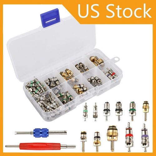 102-Piece AC Valve Core Kit With Tools For R12 R134a Auto Air Conditioning