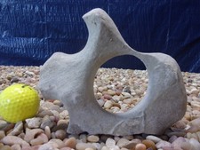 02 Texas/TN Holey Rock 05"x06"x02" Aquarium Reptile Honeycomb Limestone