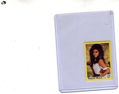 RAQUEL WELCH 1974 - 1976 VLINDER MOVIE TV SHOW MATCH BOOK LABEL COVER CARD