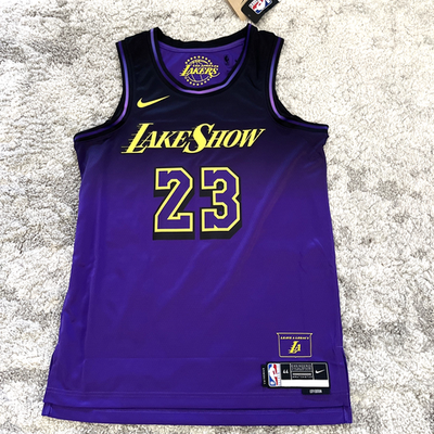 New Los Angeles Lakers Nike NBA LeBron James 2025 City Jersey 44 M