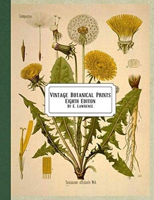 Vintage Botanical Prints Eighth Edition