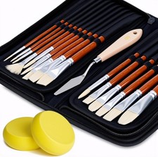 Paint Brush Set 15pc with Pop-Up Case, Palette Knife  Sponges
