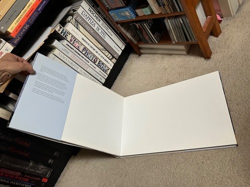 MITCH EPSTEIN: RECREATION: AMERICAN PHOTOGRAPHS 1973-1988 - Hardcover Photo BOOK - Picture 5 of 12
