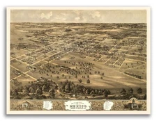 Bird's Eye View 1869 Mexico Missouri Vintage Style City Map - 24x32