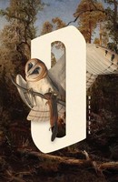 O Niki Tulk Taschenbuch Kartoniert / Broschiert Englisch 2022 Driftwood Press