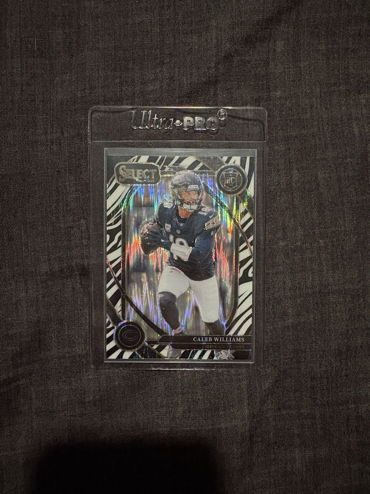 🔥 2024 Select Club Level #216 Caleb Williams Zebra Shock RC (Case Hit SSP) 🔥