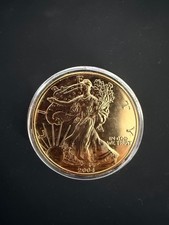 2004 Gold Plated American 1 Troy Oz .999 Silver Silver Eagle Coin