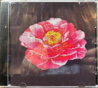 Post Malone - Nirvana Tribute (UNOFFICIAL CD) - ALT/INDIE *SEALED*