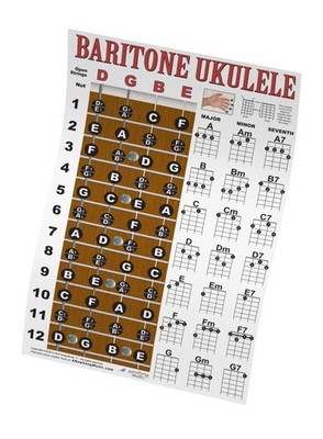 Baritone Ukulele Fretboard Notes & Easy Beginner Chord Chart Instructional Po...