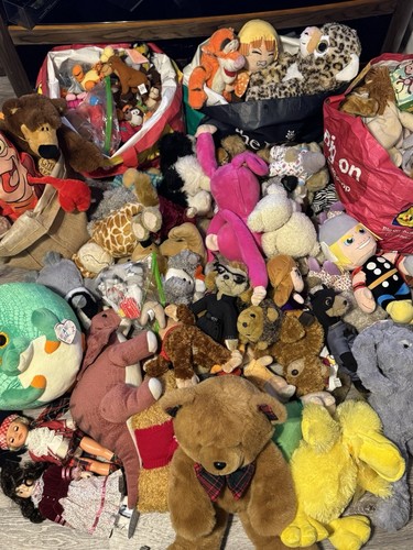 Mystery Plush / Soft Toy Bundle - Assorted And Picked At Random - Perfect Gift - 第 1/1 張圖片
