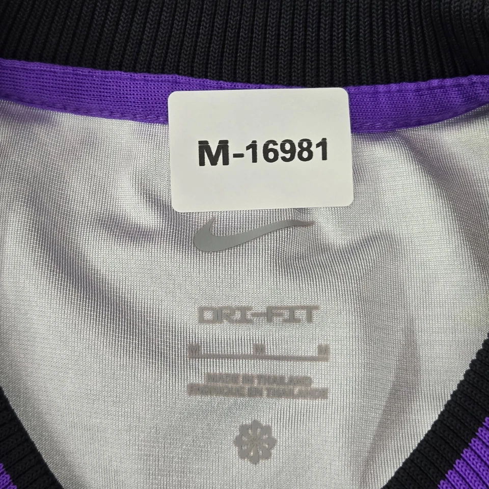 Camiseta sin mangas Nike X Space Jam para hombre M púrpura LeBron Jame Goon Squad DRI-FIT Foto 2 de 4