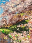 Foto 7 di 11