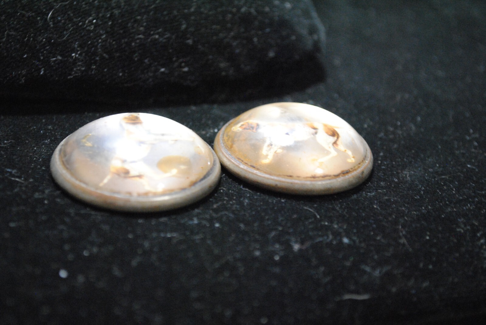 Antique Pair of Reverse Painted Hunting Dogs Glass Horse Bridle Rosettes