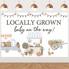 Locally Grown Baby Shower Backdrop Vegetable and Fruit Gender Reveal Decorati...