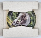 W.S. George China Plate - "The Asian Elephant" - New in original box