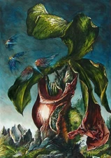 DIETRICH SCHUCHARDT - 1992 Signed Hand Painted Etching - Bergorchidee (Orchid)