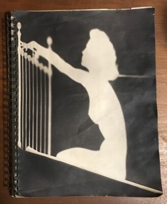 MADONNA 1992 Dita ポスター 未使用 s-l400.jpg