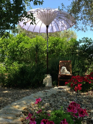 Made in Bali 220CM HandMade Mother of Pearl Outdoor Garden Umbrella NEW