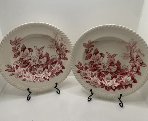 2 Johnson Brothers Apfelblüte rosa Blumen Seilrand cremeweiß Suppenschüssel