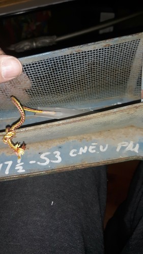 53 Chevy Grill? (SEE DESCRIPTION) - Picture 2 of 3