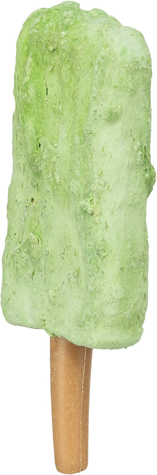 TRIXIE Polo de helado con muslo de pollo, 55 g, verde 70 UNIDADES