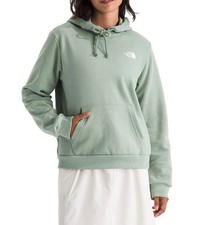 The North Face Women's Evolution Proud Graphic Pullover Hoodie Slate Moss Large