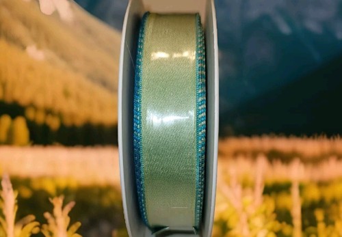 Light Green W/Teal Trim Wired Acetate ribbon 1" By 25M/ 82FT made in France