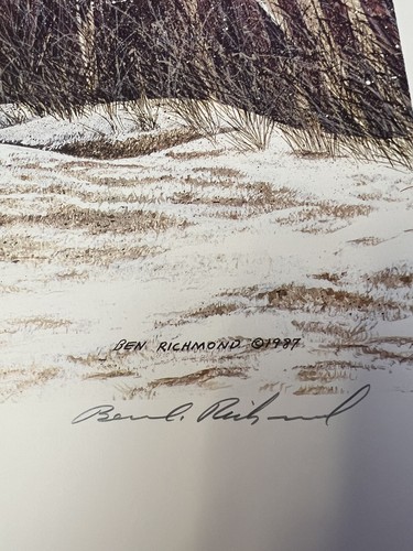Ben Richmond Winters Kill 176/400 - Foto 4 di 5