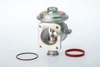 Borgwarner (Wahler) 710924D Agr-Ventil FüR Bmw