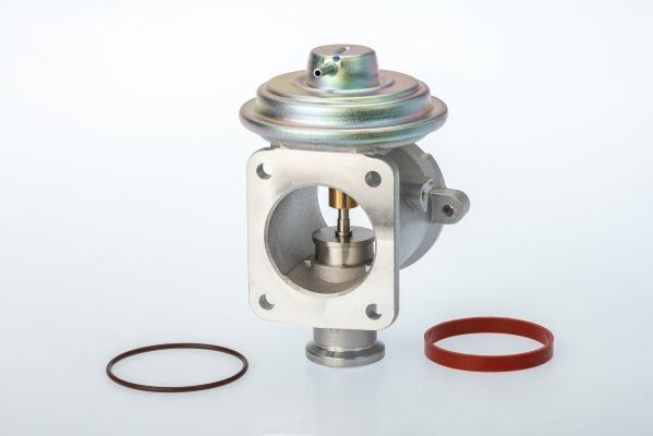 Borgwarner (Wahler) 710924D Agr-Ventil FüR Bmw-image