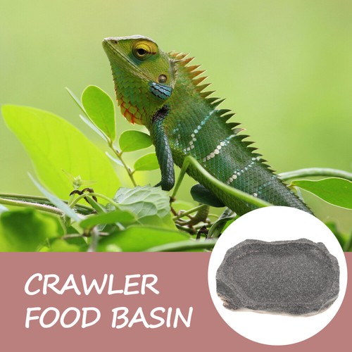 Imitation of Rock officiel Food Pot Bearded Tortoise Habitat Accessories