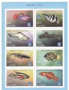 4821 / LESOTHO ** MNH BLOCK FAUNA FISCHE