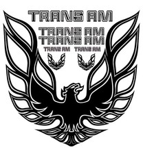 Firebird Trans Am Vintage Retro American Muscle Car Vinyl Sticker Decal Hood Firebird Trans Am Vintage Retro American Muscle Car Vinyl Sticker Decal Hood