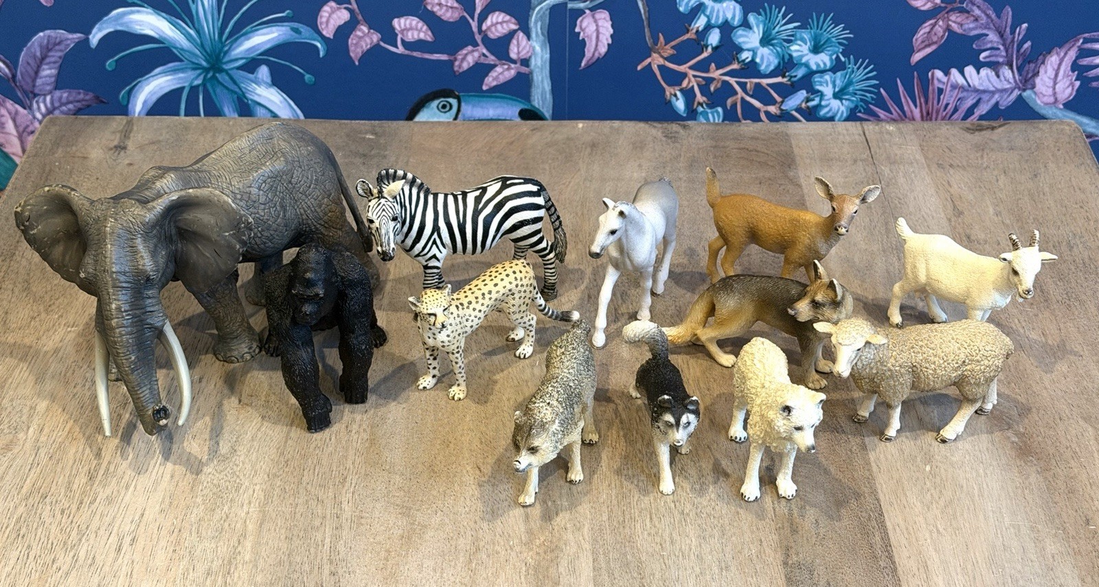 S Lot Great Condition See Photos