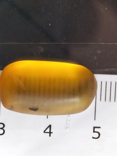 MA260 Ámbar fósil con Insecto de 99 millones años, fósil Cretácico!!! - Foto 7 di 7