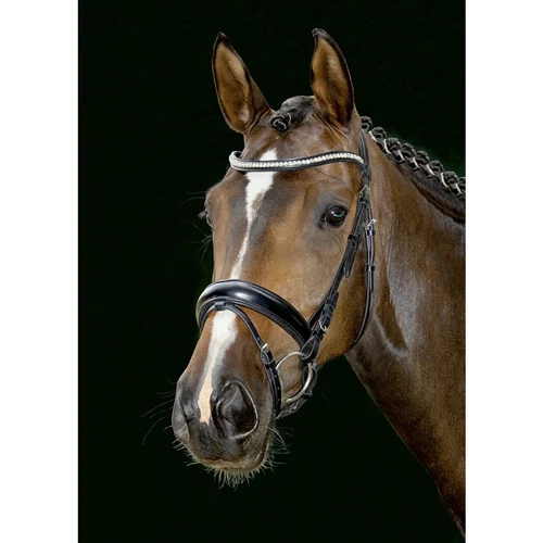 HKM Emilia Dressage Bridle