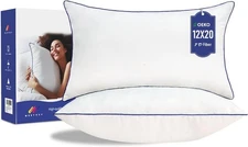 12 x 20 Pillow Insert Set of 2 Indoor Throw Pillow Insert,Rectangle...