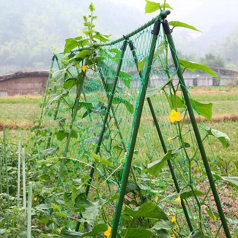 Garden Plant Climbing Net Trellis Netting Mesh Support Fruit Vine 6FT-250FT - Image 3 of 4