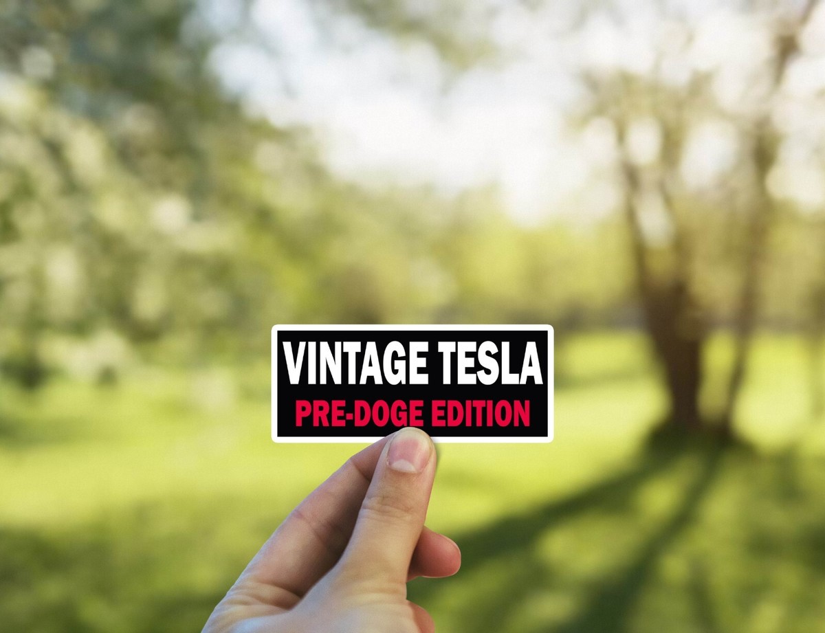 Elon Musk Deja Oficialmente Su Cargo En DOGE | Fox News - Foto 10