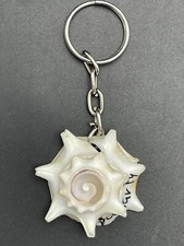 Sea Shell Key Tag Art Key Chain Key Ring Memorabilia Sea Shell Key Ring 1-1/4"