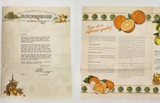 1930s antique G.W. PRINGLE leesburg fl CITRUS FRUIT advertising brochure