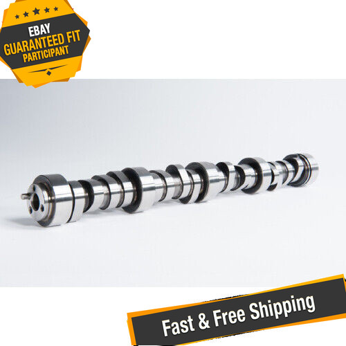 Cam Motion 03-01-0076 Junkyard Dog Cathedral Port V1 LS Camshaft (232/244-111+4)