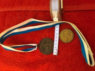 DLRG Medaille Ergste Orden Abzeichen Patch Rettungsschwimmen Spange Brosche