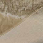 Foto 2 di 3