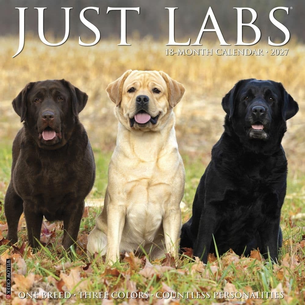 Labs 2027 Wall - Image 4