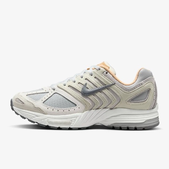 Кроссовки Nike Womens Air Pegasus 2005 светло-дымчато-серого цвета (HV5998-001) доставлены в кратчайшие сроки