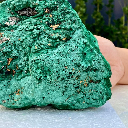 3,1 libbre malachite lucida naturale occhio di gatto trasparente grappolo minerale grezzo campione - Foto 10 di 15
