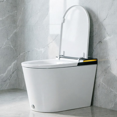 HOROW Smart Toilet with Bidet Built in, ADA Chair Height, Elongated Heated Seat