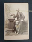 1890s antique CABINET PHOTO hunting DOG & YOUNG MAN bowler hat studio portrait — photo 1